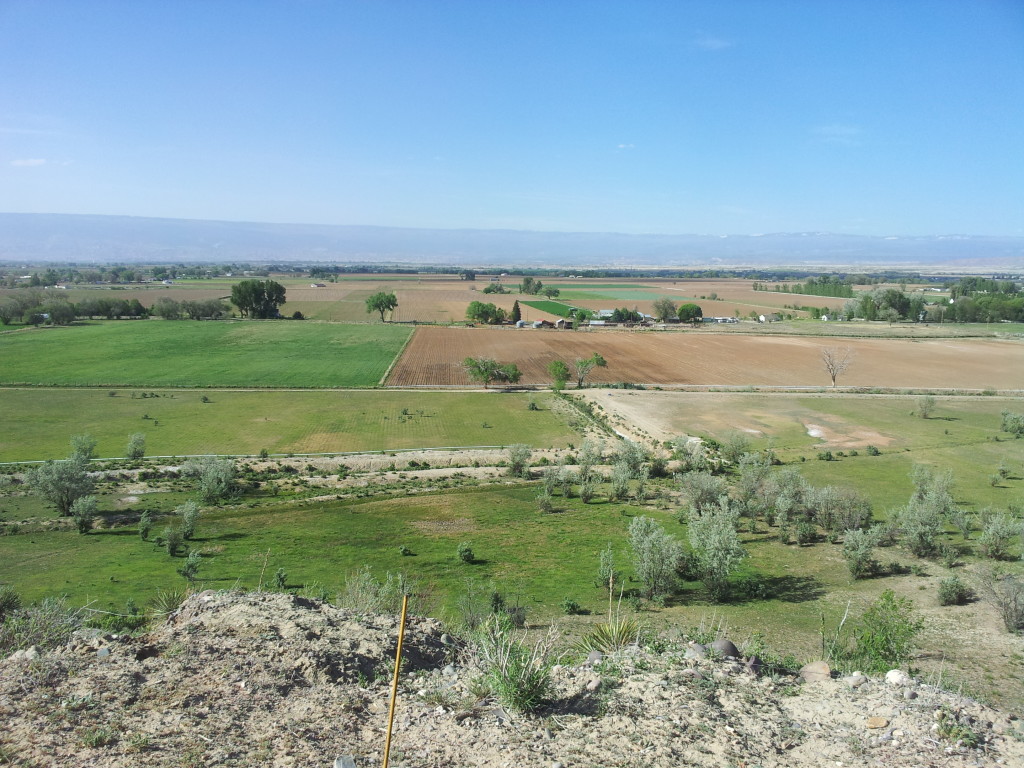 Looking Down From Point of Mesa